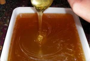 Лесной мед: чем отличается и в чем его польза?