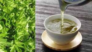 Почечный чай: виды, лечебные свойства и способы применения