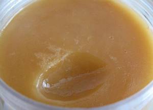 Мед расторопша: лечебные свойства и возможности применения