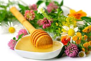 Мед разнотравье: полезные свойства первосортного продукта пчеловодства