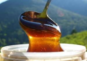 Горный мед: живительная сила экологически чистого продукта