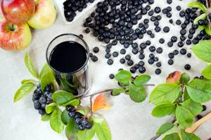 Черноплодная рябина: полезные свойства, где растет и от чего помогает арония, применение листьев и ягод