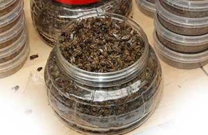 Мертвые пчелы - применение в лечебных целях
