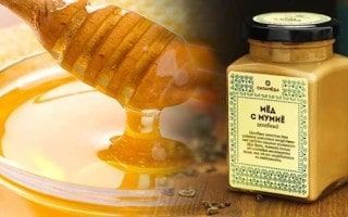 Мед с мумие – характеристики и показания к применению