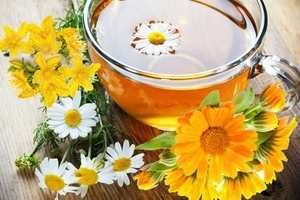 Желудочный чай: состав, лечебные свойства и рецепты