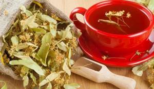 Липовый чай – природный дар и его возможности