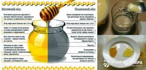 Как проверить мед: несколько верных способов