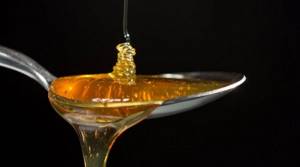Горчичный мед: самое вкусное лекарство
