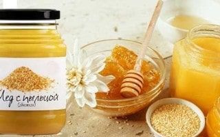 Мед с пыльцой – полезные свойства и показания