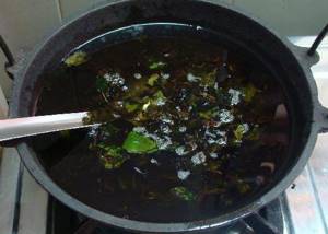 Черный крыжовник – польза для организма и применение в кулинарии