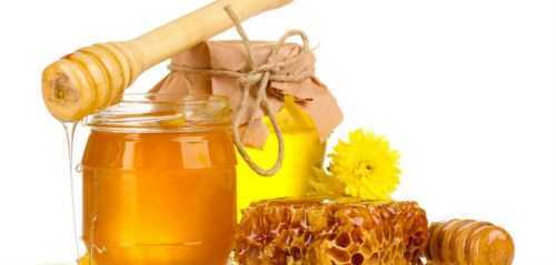 Лечение медом поджелудочной железы: рецепты