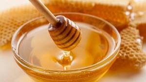 Почему забродил мед: причины и меры по спасению
