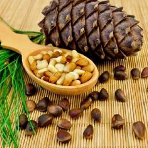 Настойка на кедровых орешках: лечебные эффекты и рецепт