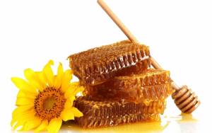 Как выбрать мед: дельные советы и рекомендации