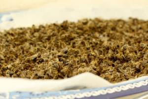 Как высушить пчелиный подмор: простые рекомендации для домашних условий, cколько он хранится