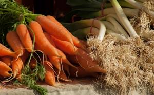 Морковный чай: польза и вред, способы приготовления