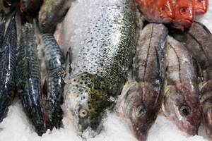 Рыбий и рыбный жир — в чем разница, польза и вред добавок